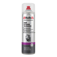 Holts EGR- og forgasserrens 